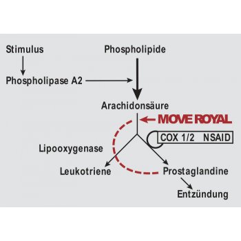 Move Royal - Wirkmechanismus